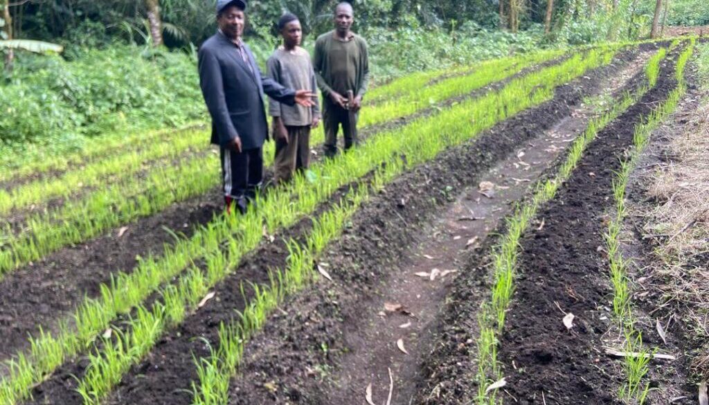 Mayor Ubangoh Helly paid surprise visits to some rice farms in ANDEK municipality