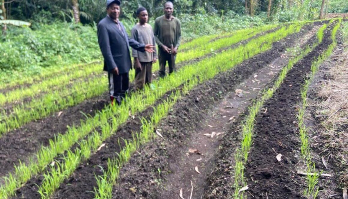 Mayor Ubangoh Helly paid surprise visits to some rice farms in ANDEK municipality