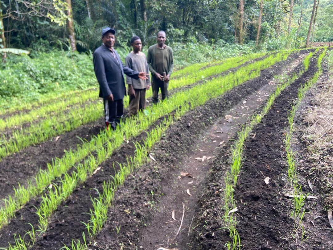 Mayor Ubangoh Helly paid surprise visits to some rice farms in ANDEK municipality