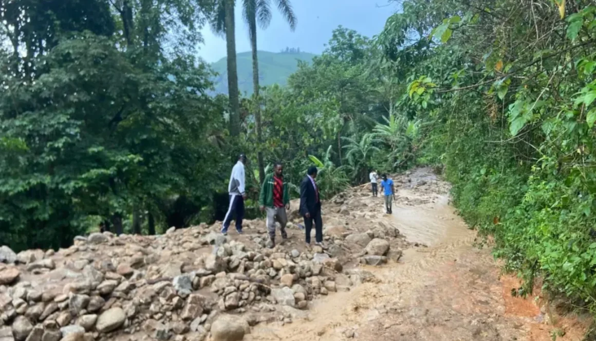 Visit of the Lord Mayor of Andek and the Divisional Officer for Ngie to a Mudslide Area in Bonatu Village