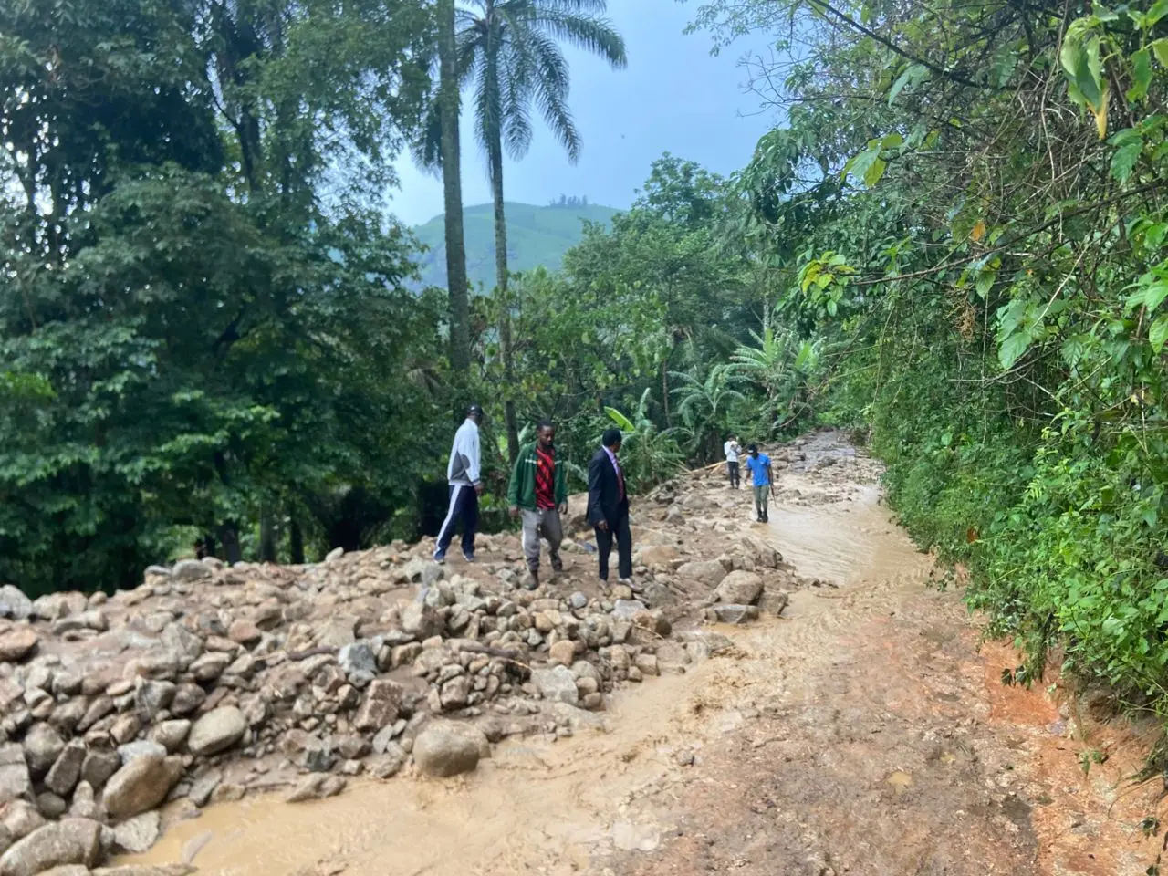 Visit of the Lord Mayor of Andek and the Divisional Officer for Ngie to a Mudslide Area in Bonatu Village